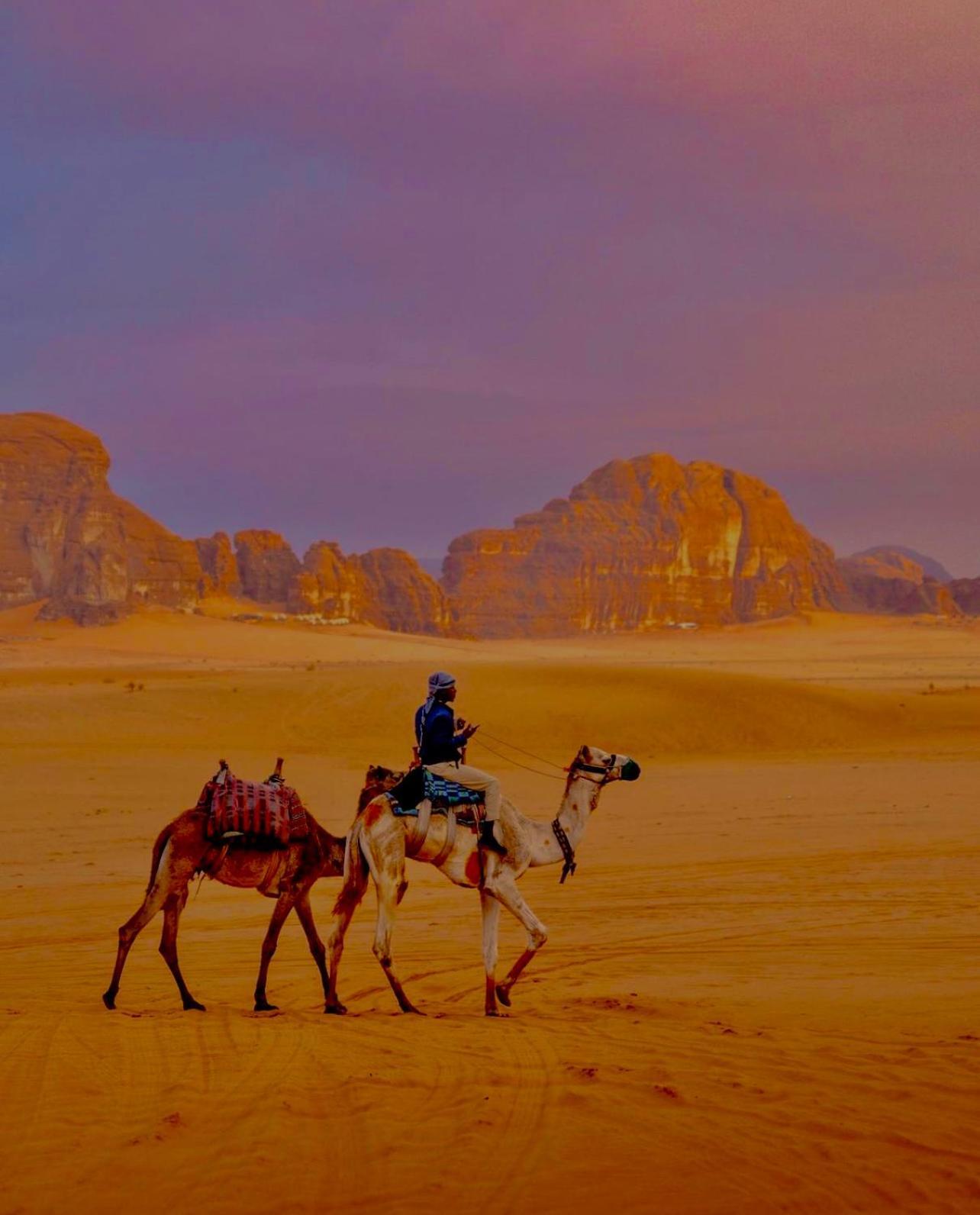 Hidden Wadi Rum Camp Kültér fotó